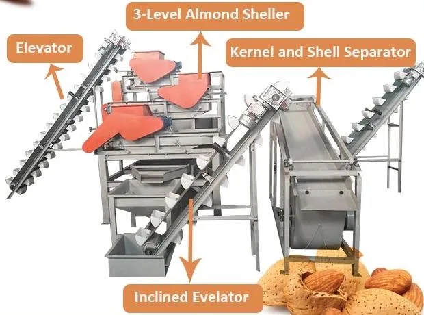 High Efficiency Nuts Hazelnut Sheller Cracker Almond Apricot Cracking Shelling Machine