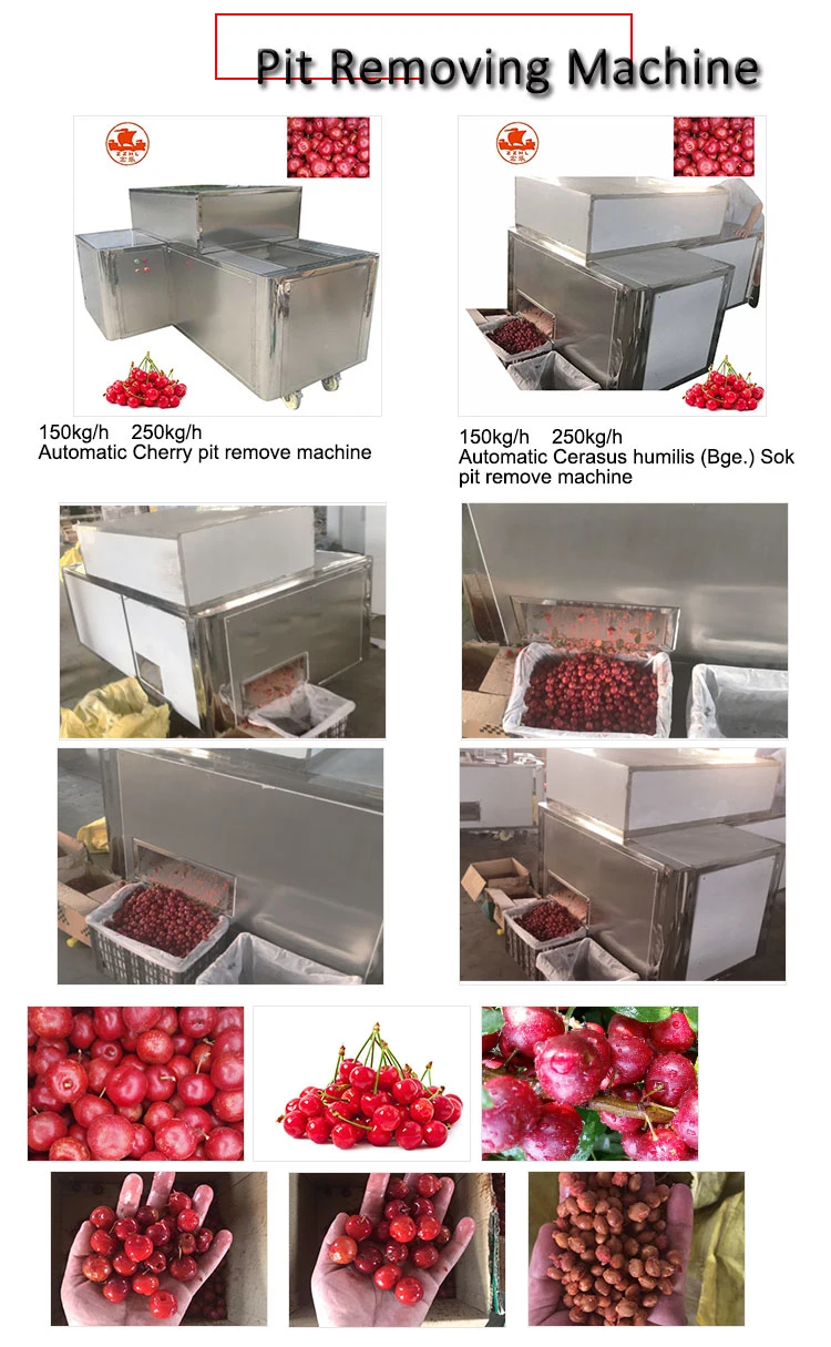 Commercial Dates Pitting Machine Fruit Coring Seed Removing Plum Olive Cherry Pitting Machine