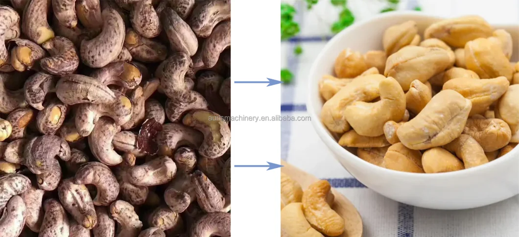 Electric Cashew Nut Grader Cracker Sorter Roaster Peeler Machine Cashew Nut Production Line Raw Cashew Nut Processing Machine