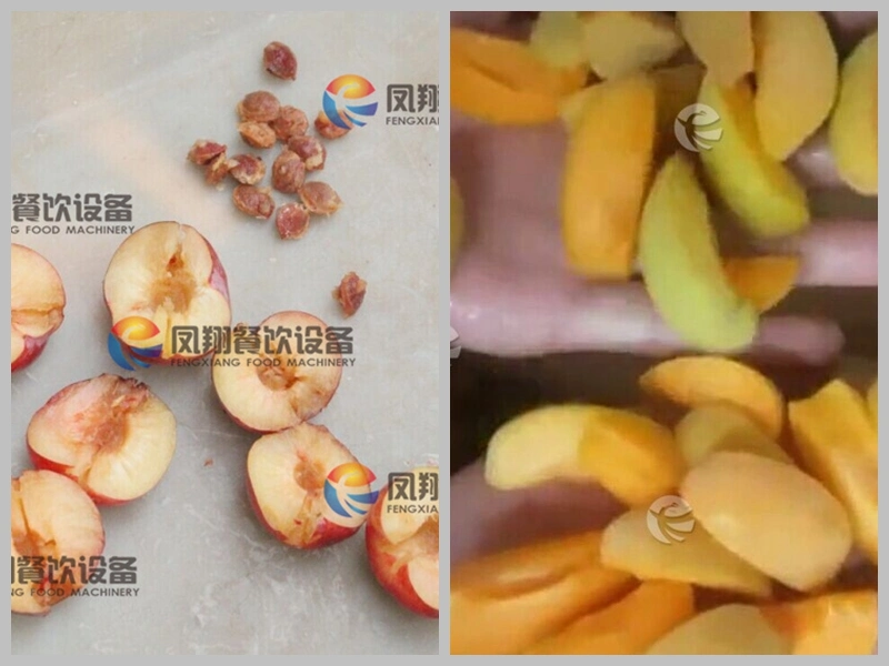 Automatic Fruit Avocado Peach Pit Stone Remover Pitting Pitter Machine
