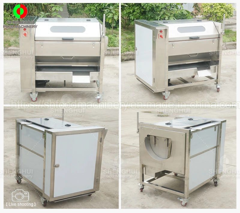 Brush Root Vegetable Washing Machine Cleaning Machine Ginger Peeling Machine