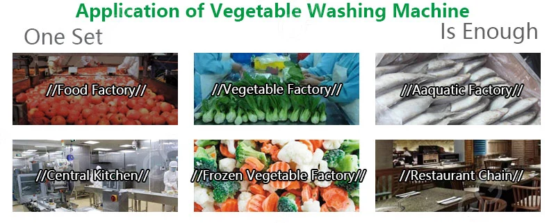 Gelgoog Air Bubble Type Fruit and Veggie Cleaner Customize Vegetable Cutting and Washing Line