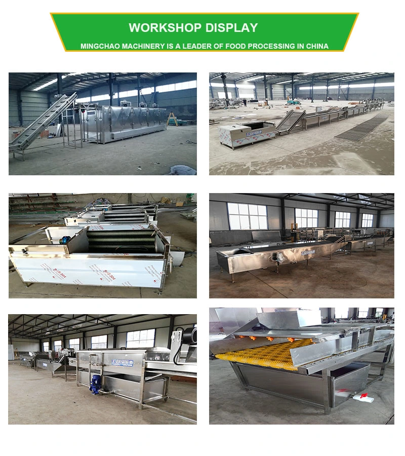 Hot Air Fruit Drying Equipment Apple Dryer