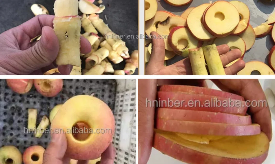 Fruit Pitting Machine Apple Begonia Loquat Fruit Date Seed Removing Machine
