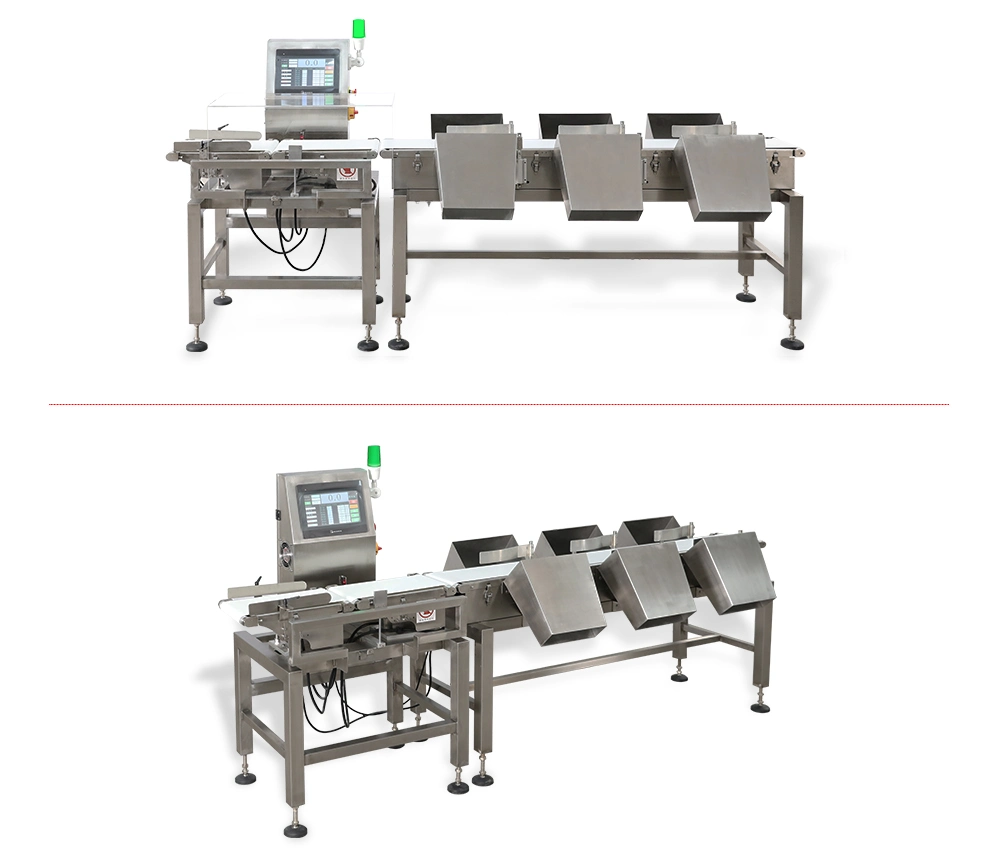 China Factory Wholesale Dynamic High Speed Mango Fruit Sorting Machine