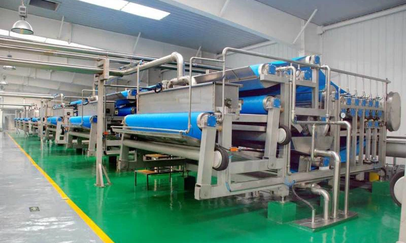 Fresh Fruit Washing and Sorting Machines Full Fruit Grading Line Machines in High-Speed and Amazing Working Condition