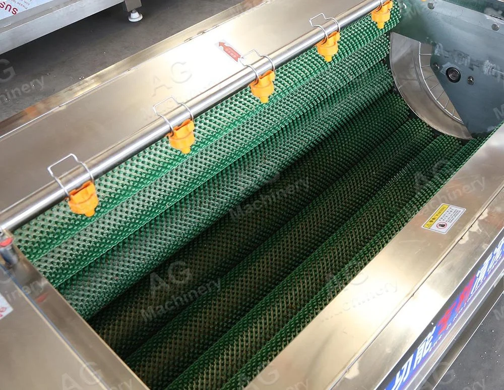 Electric Brush Vegetable Washing and Fresh Fruit Peeling Machine