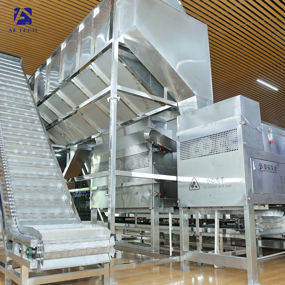 Efficient Macadamia Nut Automatic Cutting Cracking Dust Screening Flavoring Machine