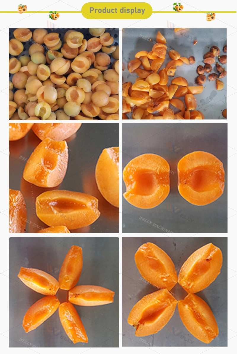 Chinese Fruit Apricot Prune Core Removing Separating Pitting Processing Machine