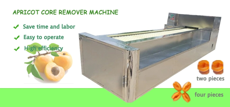 Easy Operation Apricot Pitter Machine / Apricot Pitting Machine / Apricot Stone Fruit Pitting Machine