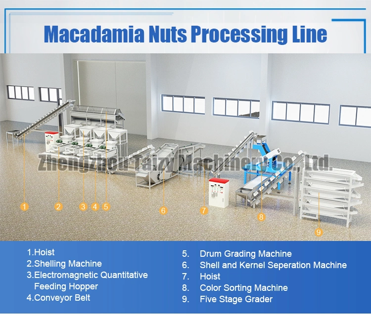 Industrial Macadamia Nut Shells Shelling Machine Walnut Almond Nuts Cracking Machine