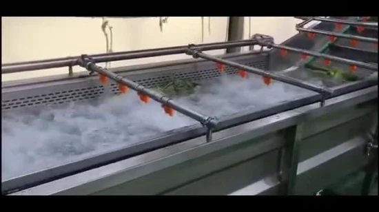 Machine à laver les bulles d'orange aux fruits et légumes
