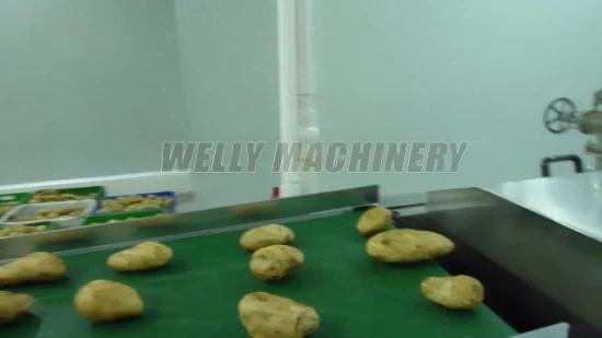 Noyau de pruneau d'abricot de fruit chinois enlevant la machine de traitement de piqûre de séparation