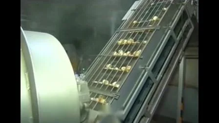 Chaînes de fabrication de machine de chips de pomme de terre Chaîne de production de chips de pomme de terre 100kg