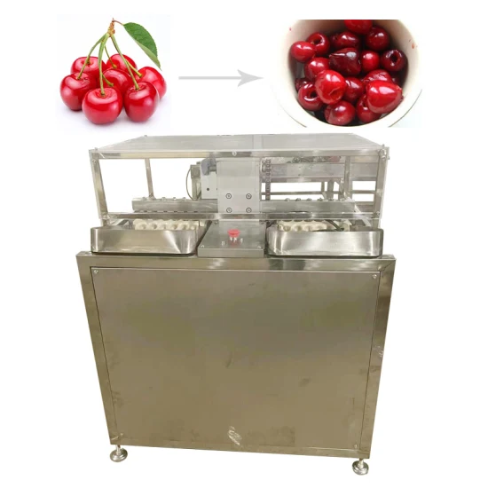 Machine automatique de dénoyautage de dénoyauteur de Jujube de Bayberry de prune de litchi, machine de dénoyautage de fruit de Bayberry