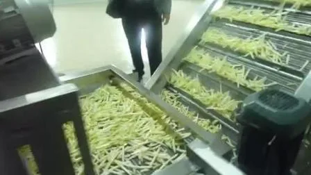 Ligne de production entièrement automatique de tranches de banane/croustilles/frites congelées