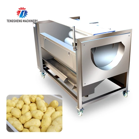 Machine de nettoyage et d'épluchage de légumes et de fruits Matériel industriel d'acier inoxydable de machines de nettoyage de nourriture