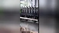 Machine d'épluchage automatique de noix de cajou brutes à prix d'usine