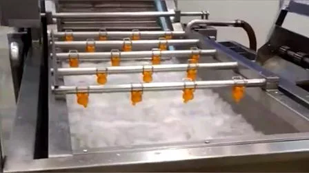 Machine à laver de nettoyage d'épluchage de coupe de fruits de légumes de prix d'usine