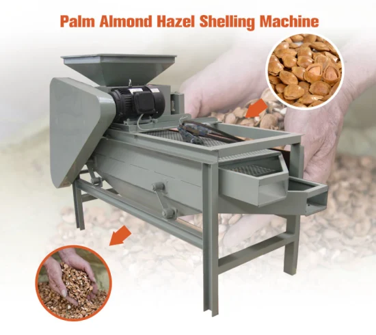 Machine automatique de décorticage de noix de pécan et d'amandes de noix de pécan