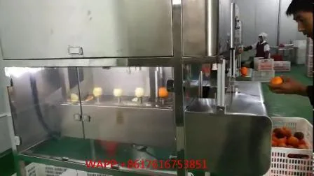 Fruit Peeler Denuclearizer Core Remover Fruit Pit Retrait de la machine à piqûres