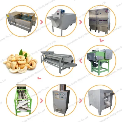 Machine d'épluchage automatique de séchage de noix de cajou d'unité de décorticage de noix de cajou