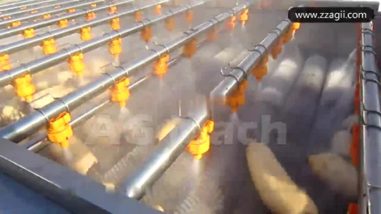 Machine à laver les légumes à brosse électrique et à éplucher les fruits frais