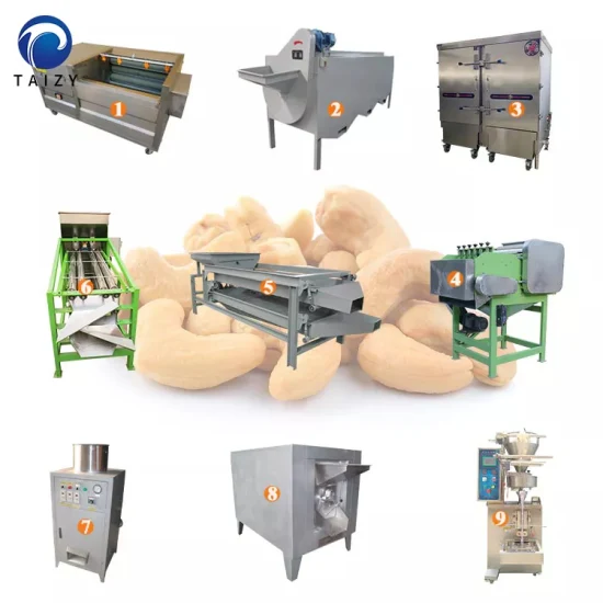 chaîne de production de décorticage automatique de noix de cajou de 500kg/h machine de développement de noix de cajou