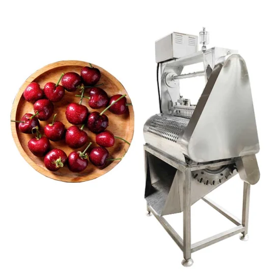 Machine de dénoyautage d'olive de date d'olive de date de pomme de poire d'abricot de date de retrait de graine de fruit à petite échelle