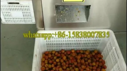 Machine de dénoyautage de prune haute capacité entièrement automatique / dénoyauteur de cerises / machine à dénoyauteur de fruits