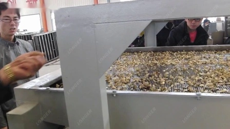 Décortiqueur de graines de décortiqueur de noix de pin du Pakistan industriel séparateur de coquille de graine de tournesol enlevant la Machine