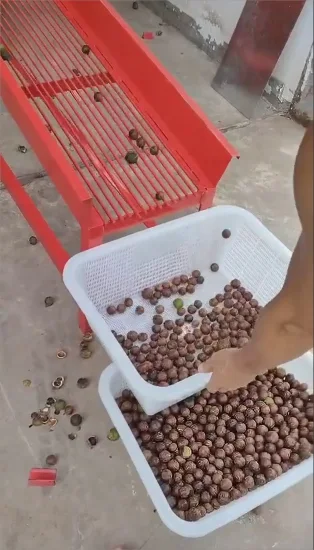 Machine d'épluchage de traitement de noix de macadamia verte automatique d'approvisionnement d'usine 5000kg/h