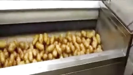 Chips de pommes de terre faisant la machine frites faisant la ligne de production de chips de machine