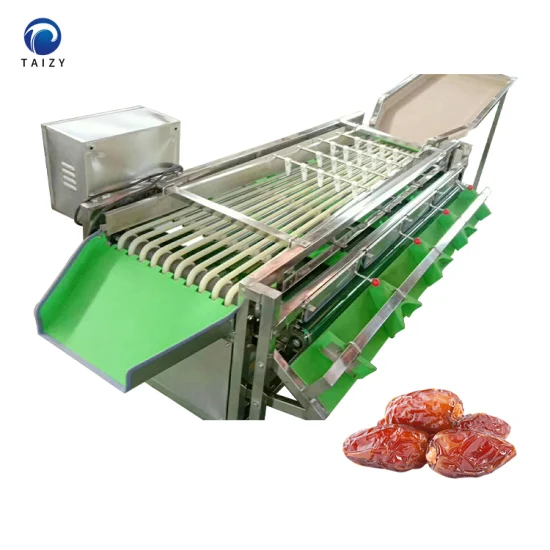 Machine de classement des fruits Trieuse de citron orange Trieuse de fruits Kiwi Grader