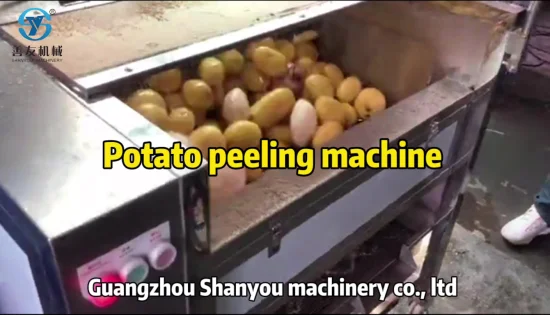 Légume-racine Fruit gingembre pomme de terre rouleau éplucheur lavage Peeling Machine de nettoyage