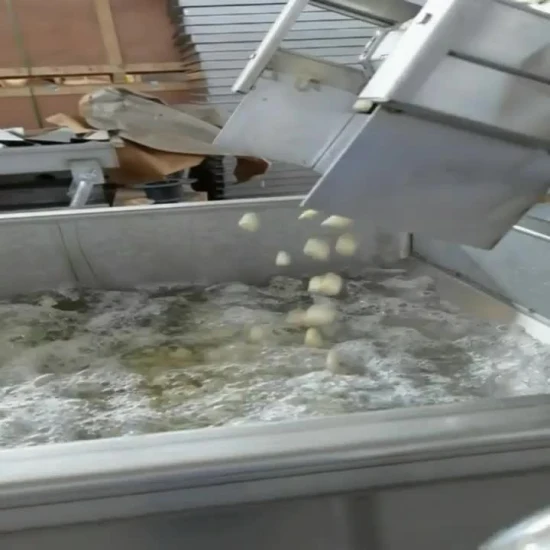 Machine de nettoyage de légumes de fruits Tomates Pommes de terre aux champignons Laveuse alimentaire avec sécheuse