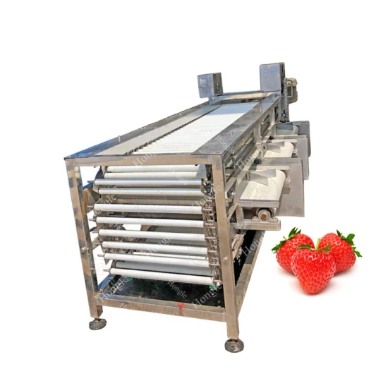 prix d'usine commercial automatique Longan Lychee Corer tomate Trieuse Machine de classement pour les fruits