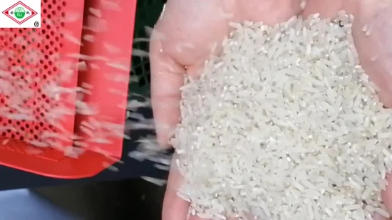 Machine de traitement de rizerie automatique Machine de décortiqueuse de riz