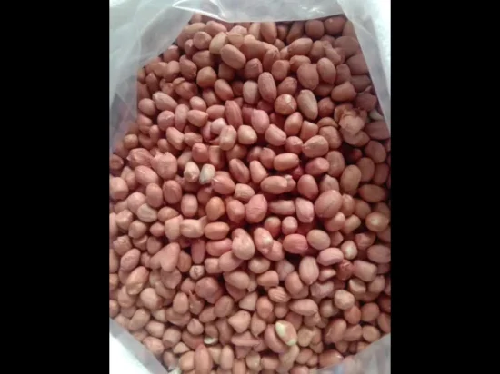Snack Food Saveur de légumes sucrés craquelins de cacahuètes grillées avec des prix bon marché