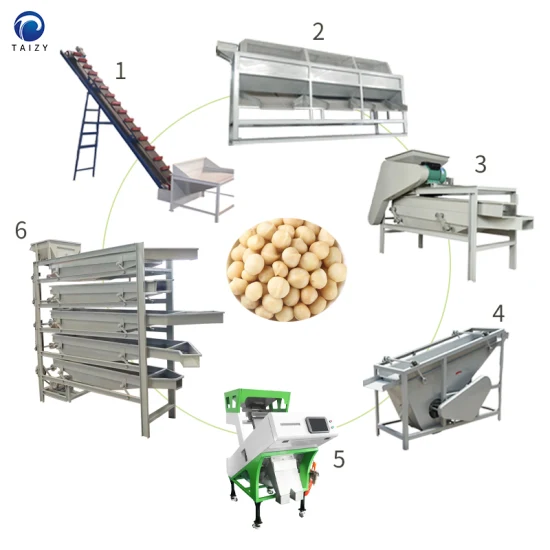 Machines de traitement de noix de machine de craquage de classement de noix de macadamia commerciale