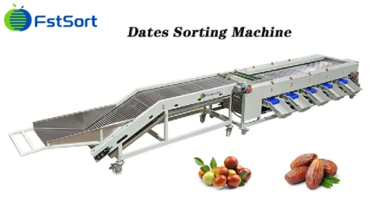 Machine de classement de tri de fruits frais d'abricot de jujube de prunes de tomate cerise de dates